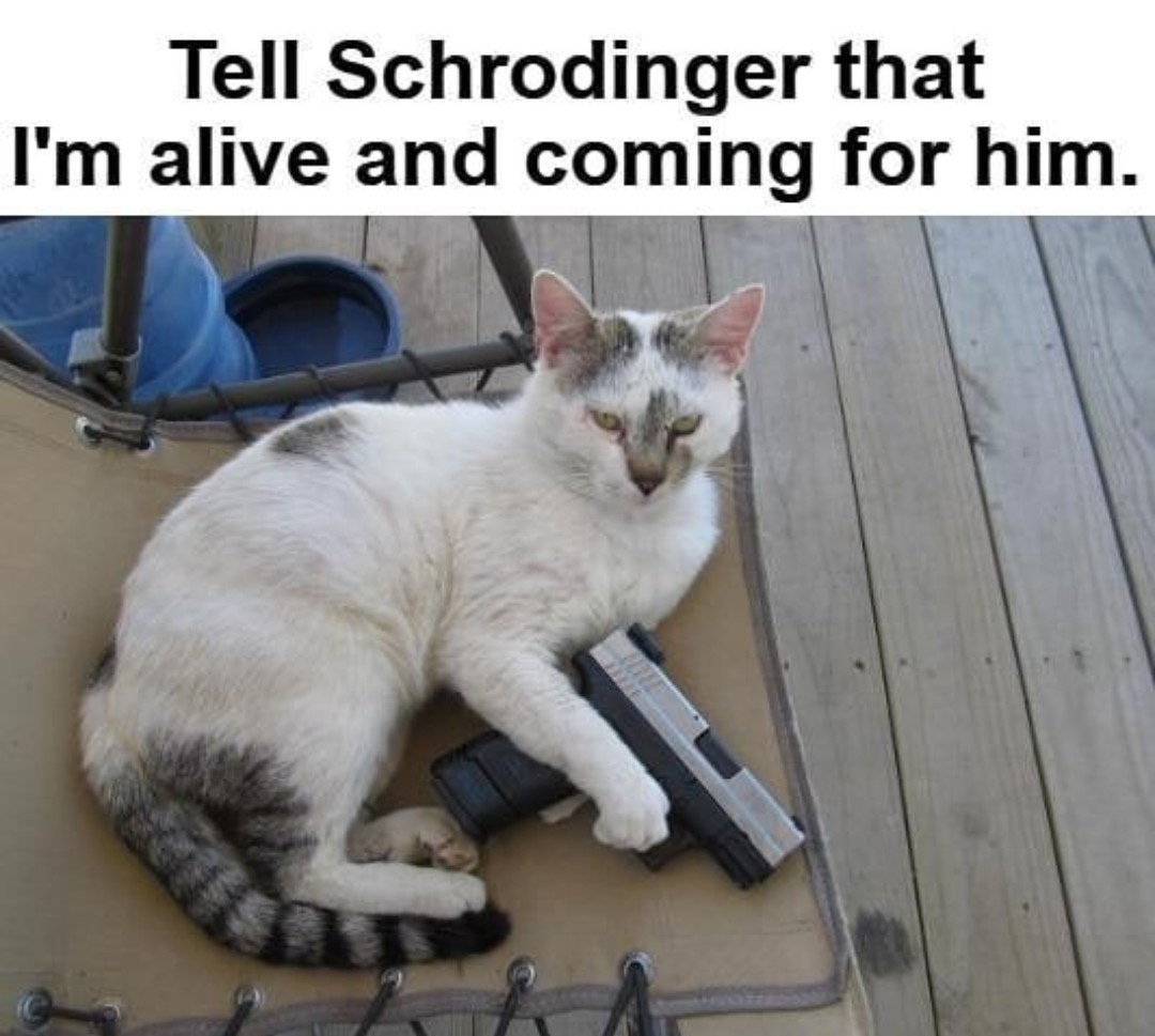 Schrödinger - meme