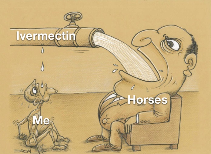 Horsepilled - meme
