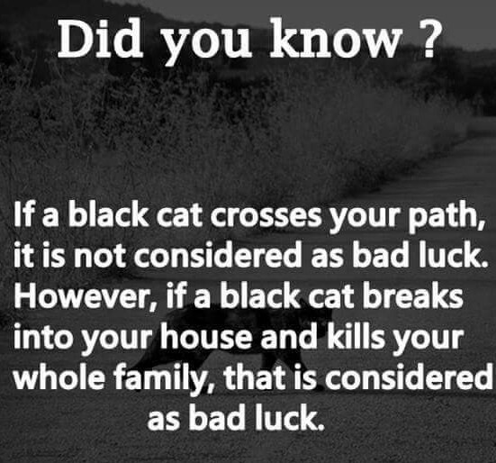 Black cats matter - meme