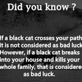 Black cats matter