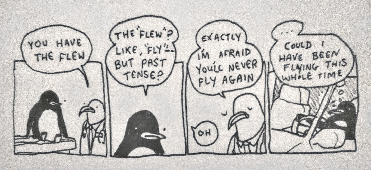"Flew" - meme