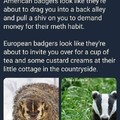Badger badger badger badger...