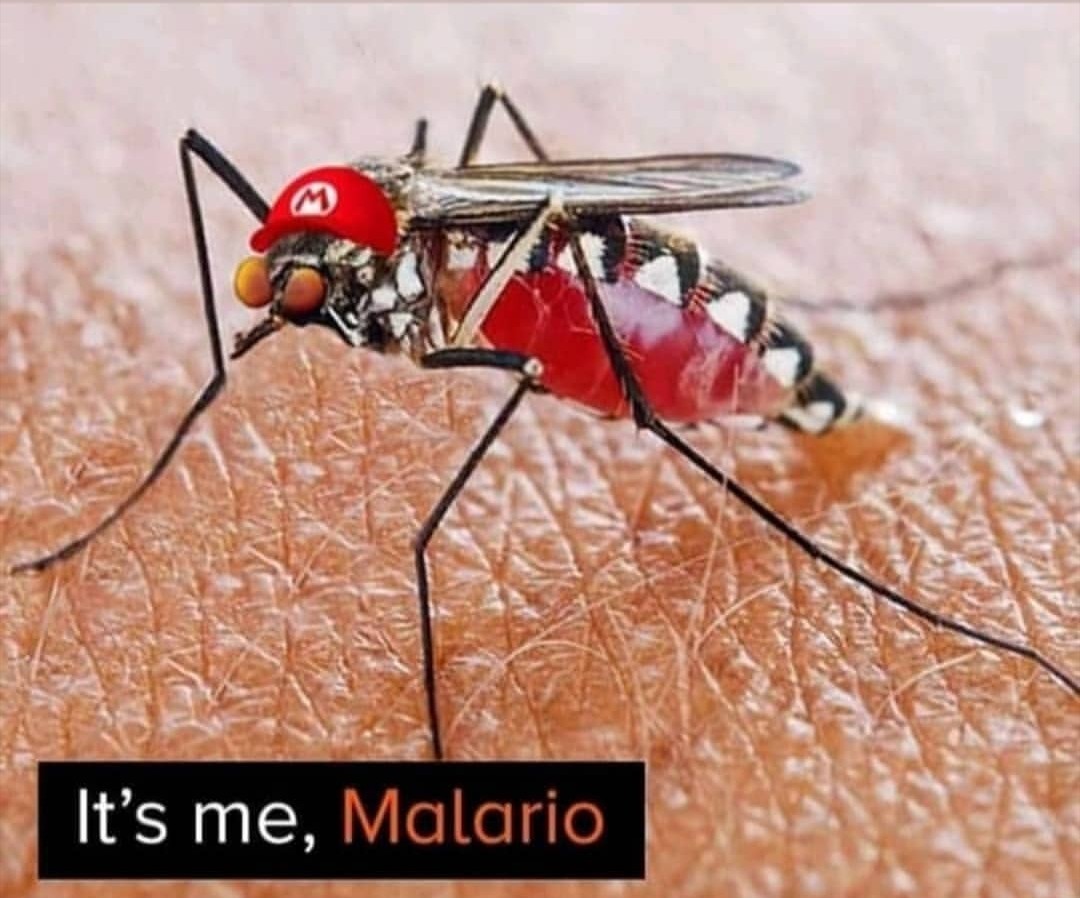 malária - meme
