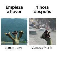 Meme