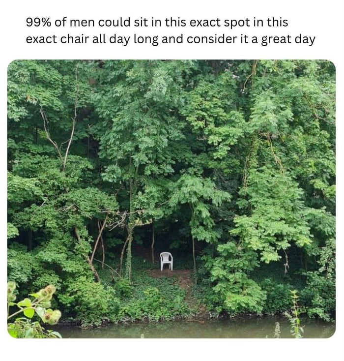 Mosquito would like a word. - meme
