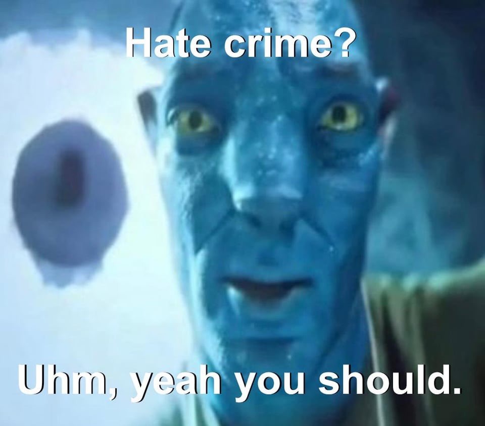 dongs in a crime - meme