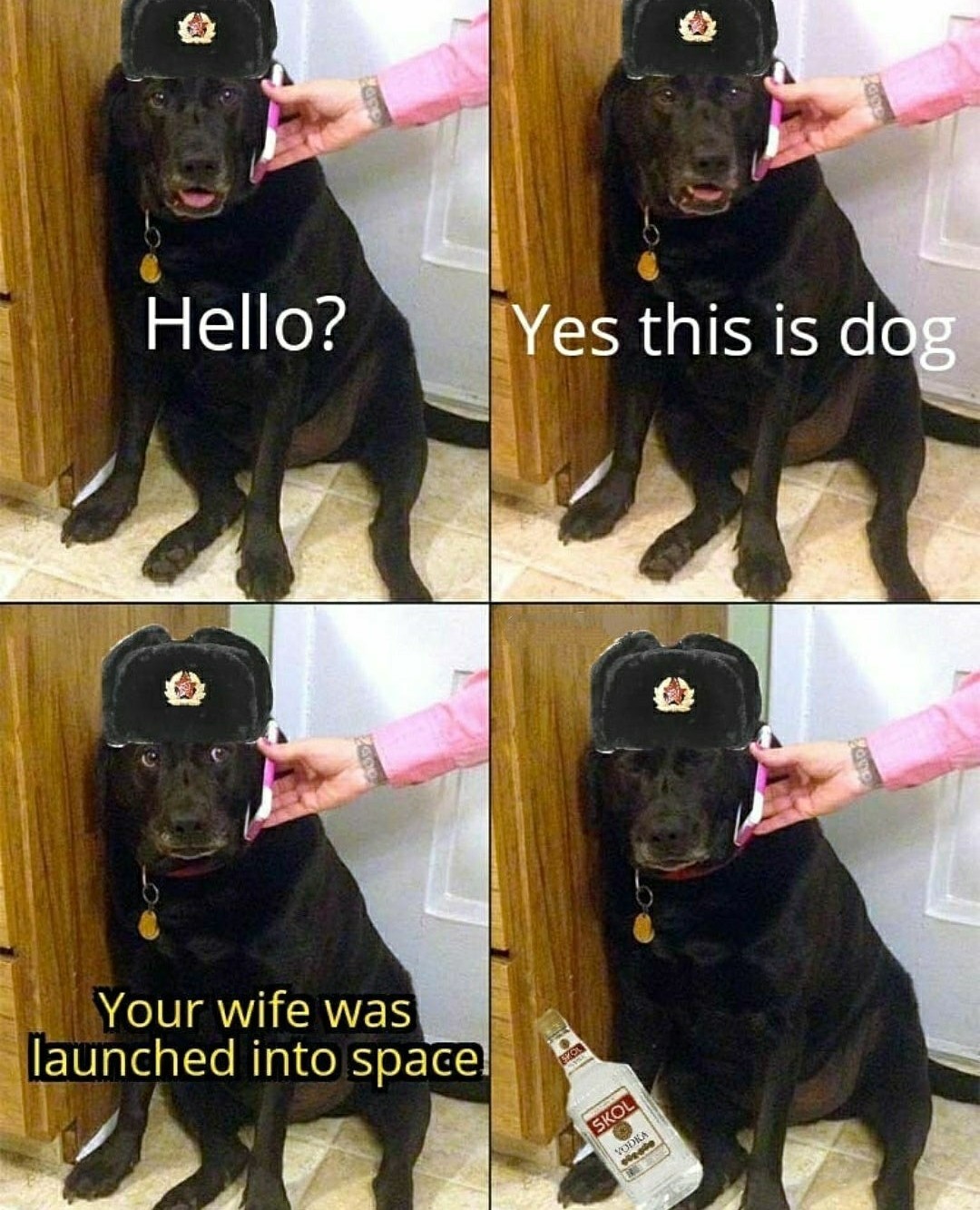 Can I get a F for Laika - meme