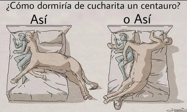 Cómo dormiría un centauro? - meme