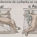 Cómo dormiría un centauro?