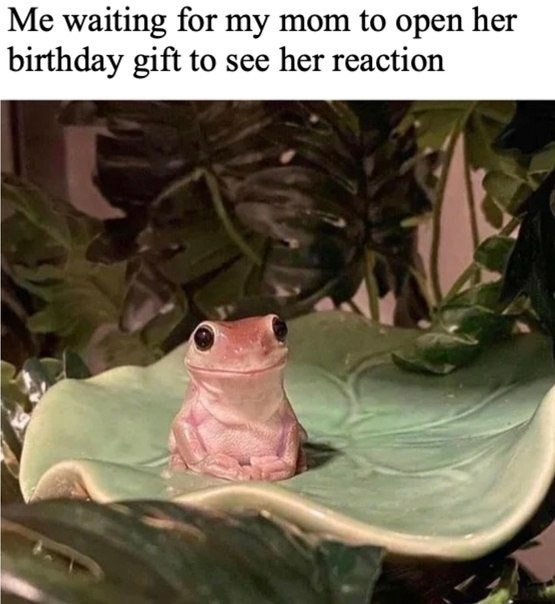 Frog waiting meme