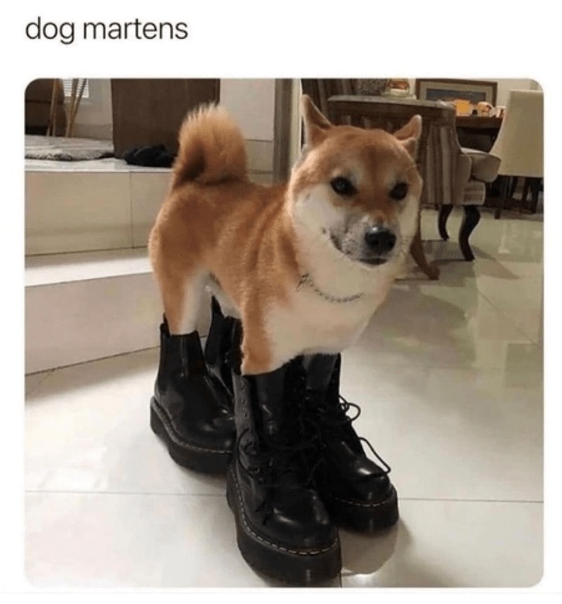 dog martens - meme
