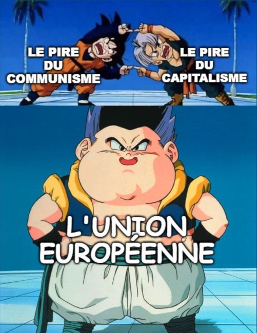 Fusion = Europe des Républiques Socialistes Soviétiques - meme