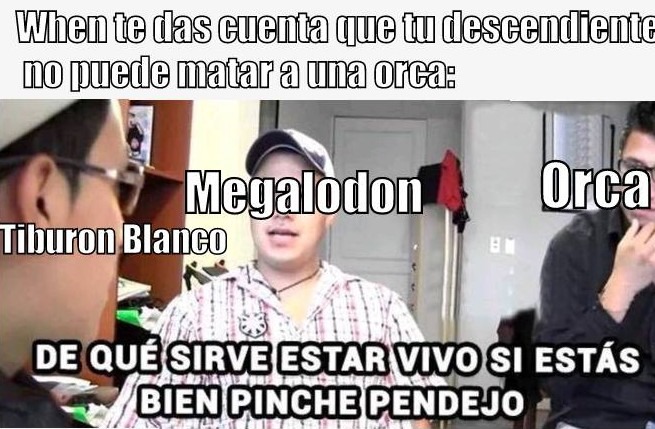 Un megalodon se cogería a 5 orcas juntas si quisiera - meme