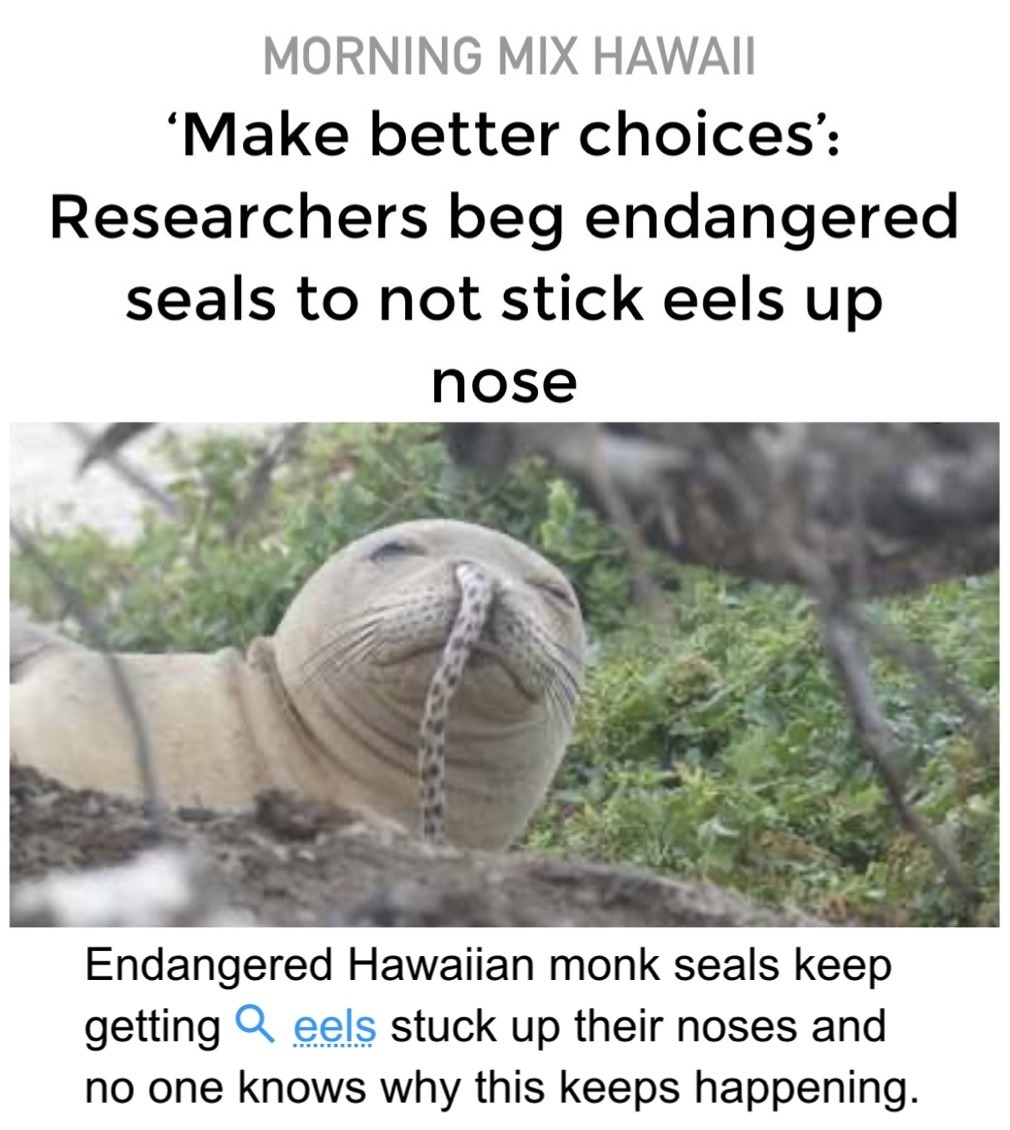 Make Better Choices - meme