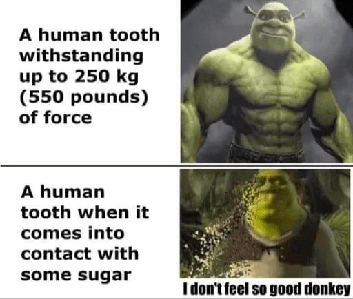 Human tooth strength - meme