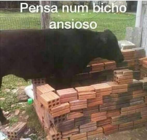 679d0fc062980.jpeg