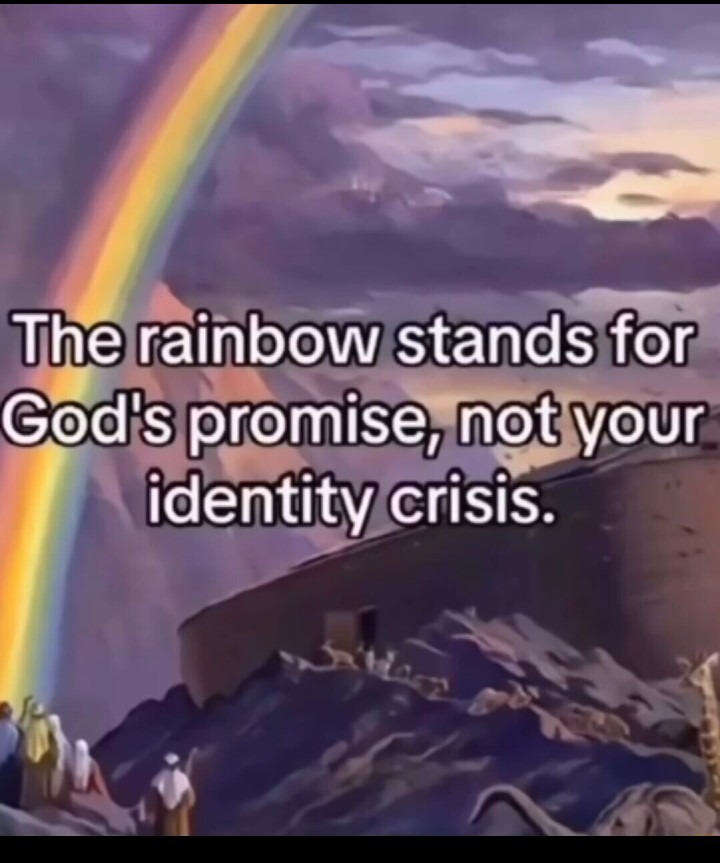 Always remember what rainbow really stands for - meme