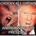 so this is what they meant by a new chucky movie