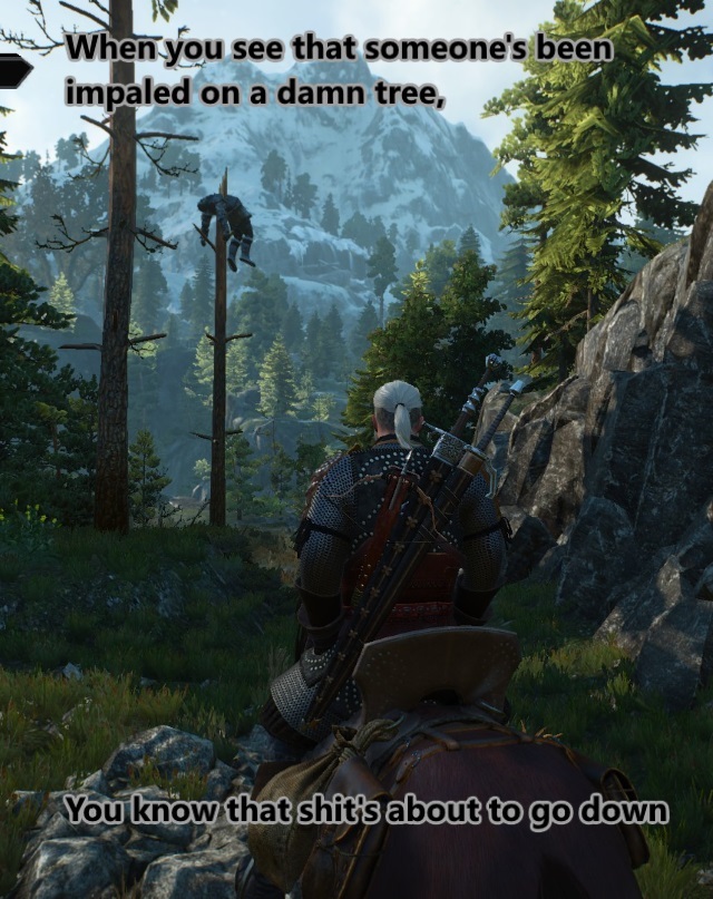 Witcher 3 has the best sidequests of all rpg's - meme