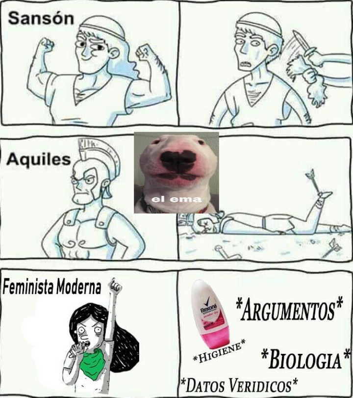 La debilidad de las feministas radicales - meme