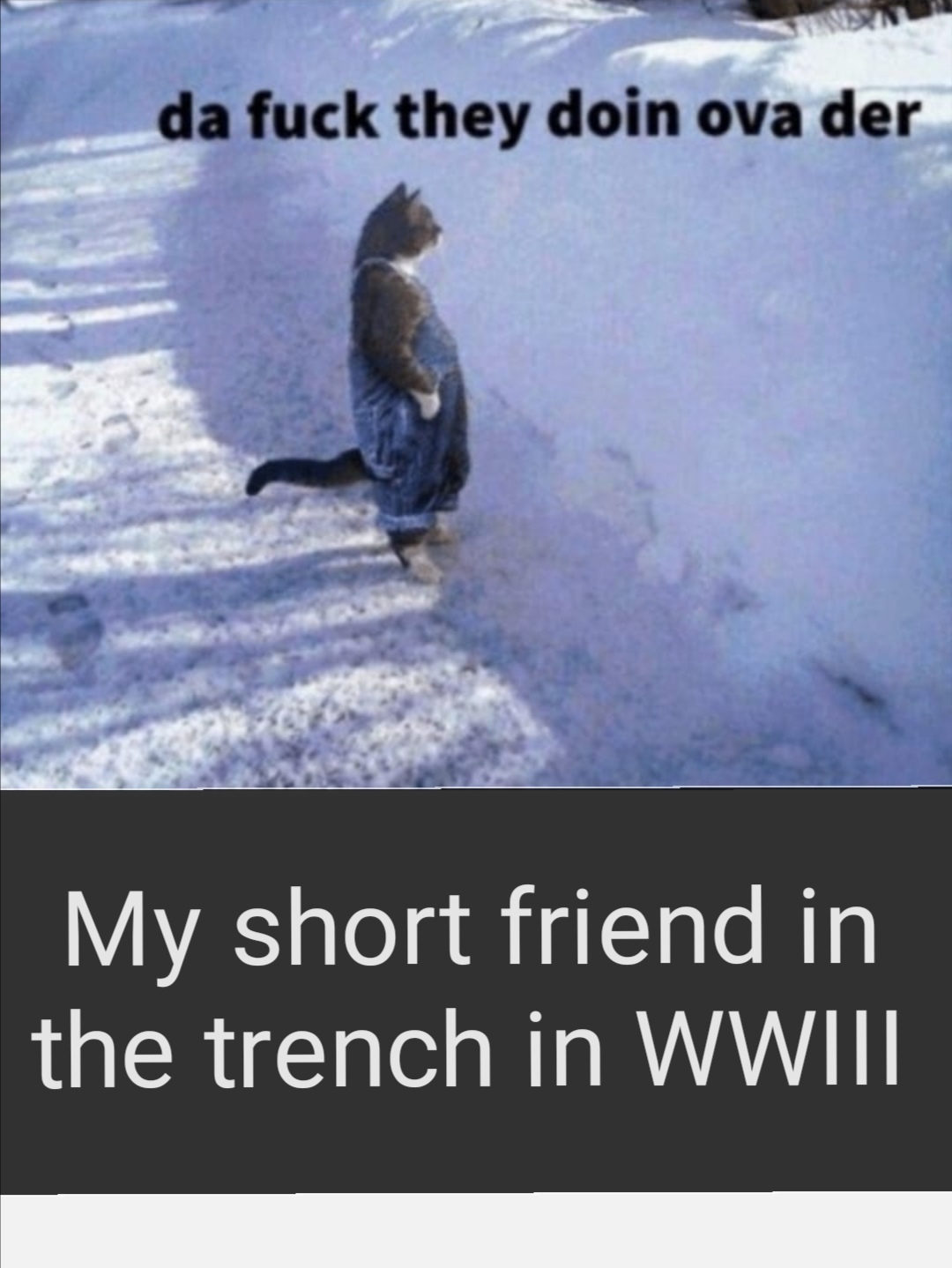 World War III - meme