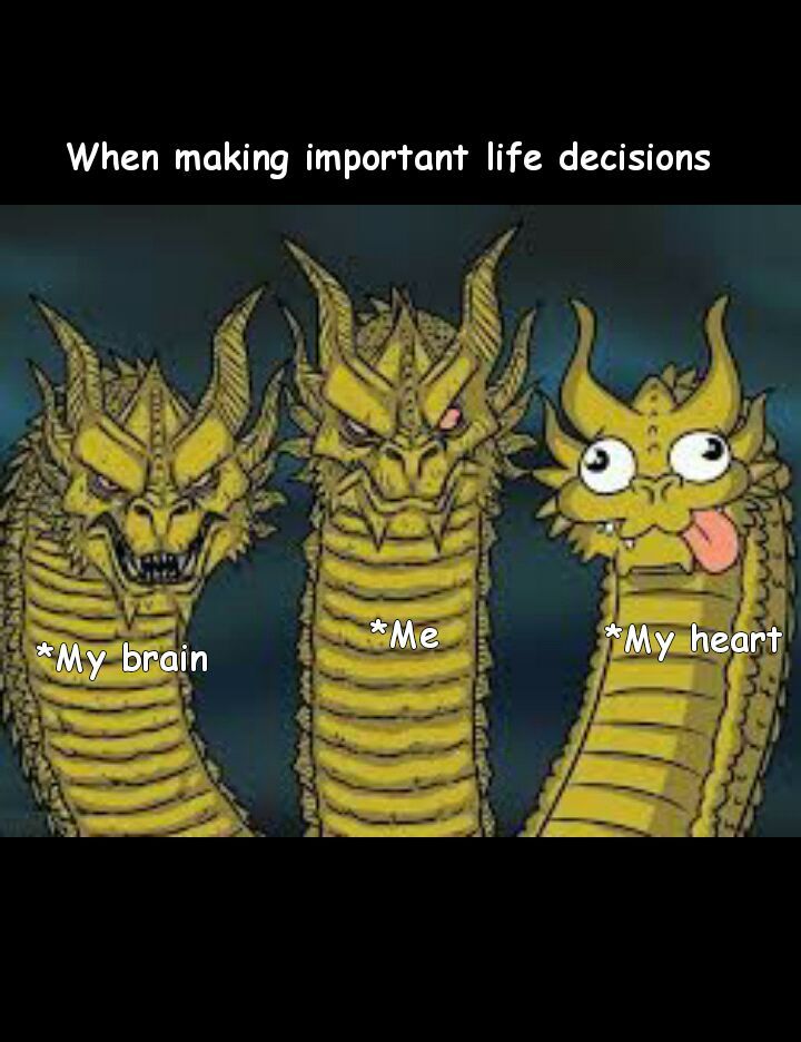 The decision dilemma - meme