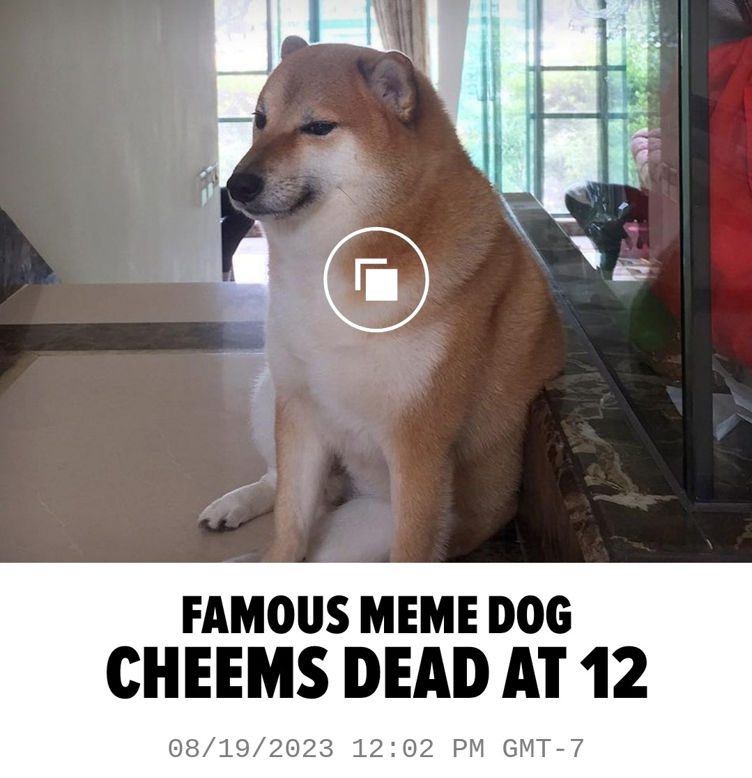 RIP Cheems - meme