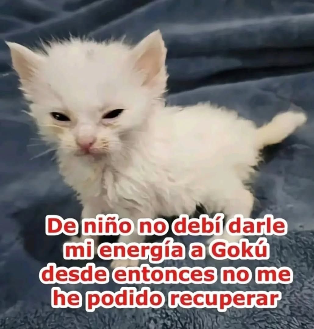 Aquella genijidama me dejo roto - meme