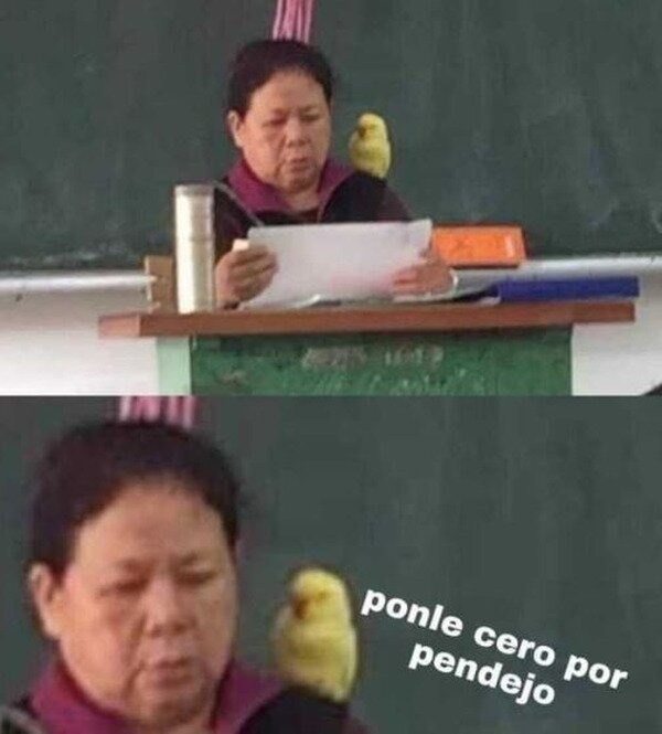 ponle cero pendejo y que repita el curso - meme
