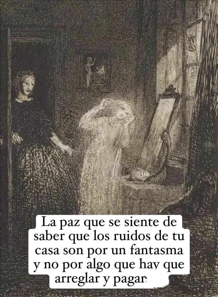 la tranquilidad de saber que esos ruidos eran un fantasma y no algo roto - meme