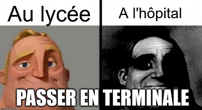J'espère que c'est pas un repost, si c'est le cas, sachez que je m'en excuse platement - meme