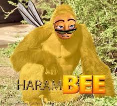 HARAMBEE - meme