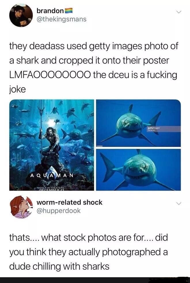 Shark - meme