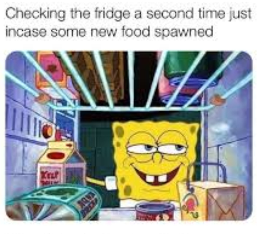 imagine if food actually respawned in a set time back in the fridge after you ate it - meme