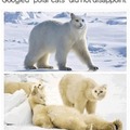 Finish the sentence "Polar Cats? More like...."