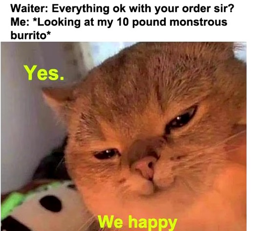 HAPPY BURRITO CAT!!! - meme