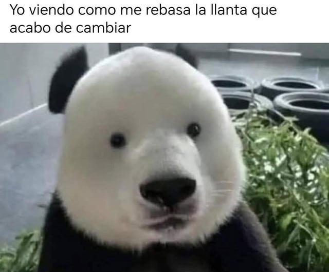 Viendo cómo me rebasa la llanta que acabo de cambiar - meme