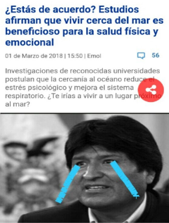 Stos bolivianos - meme