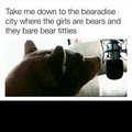 bearbie world