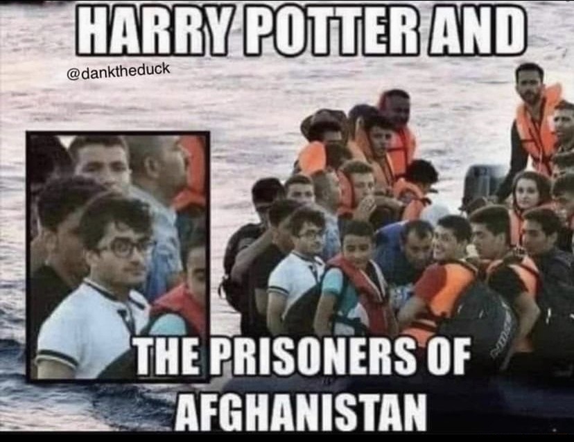 You’re an immigrant Harry! - meme