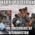 You’re an immigrant Harry!