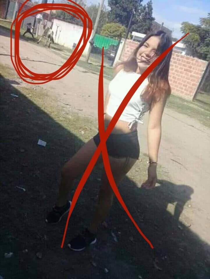 Burro - meme