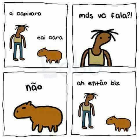 meme da capivara