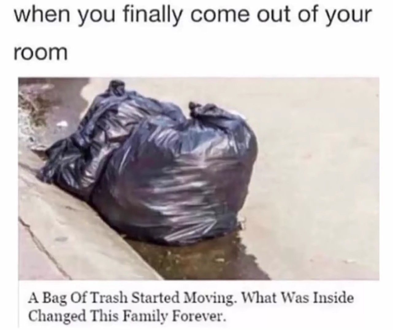 Trash bag - meme