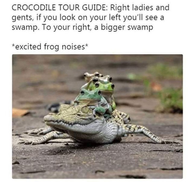 Crocodile tour guide - meme