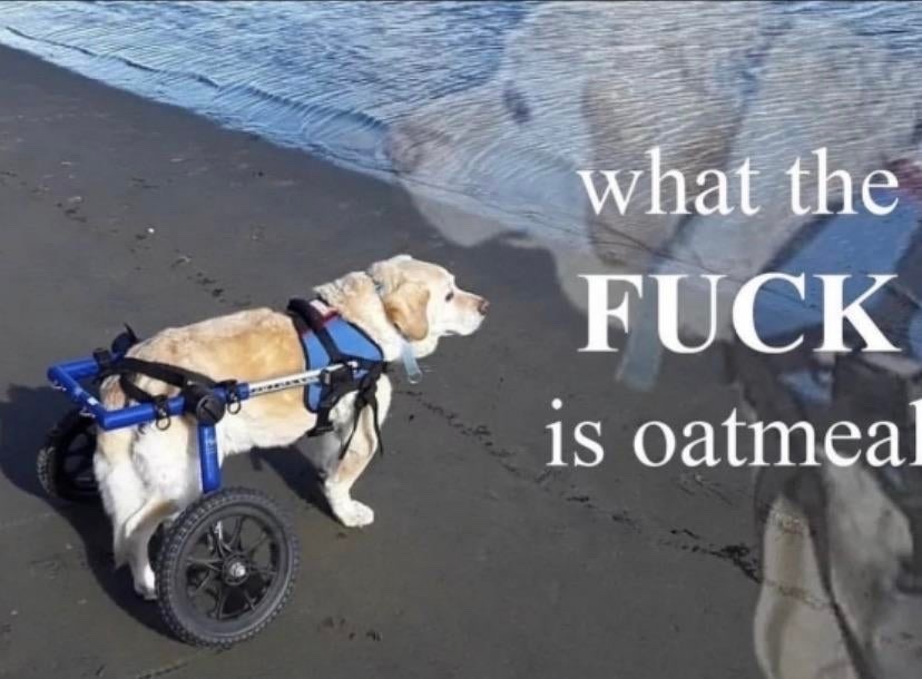 what the fuck is oatmeal - meme