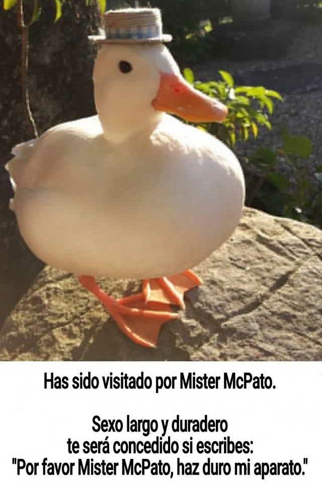 Mister MCPato - meme