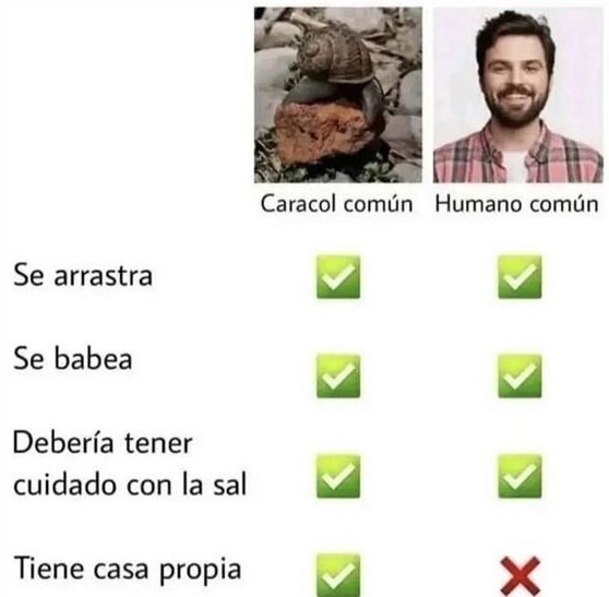 Caracol vs Humano - meme