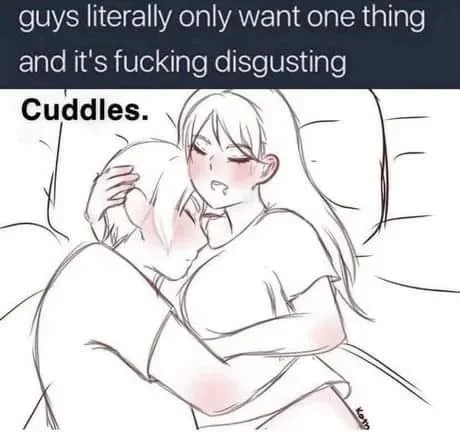 guys literally only want one thing meme
