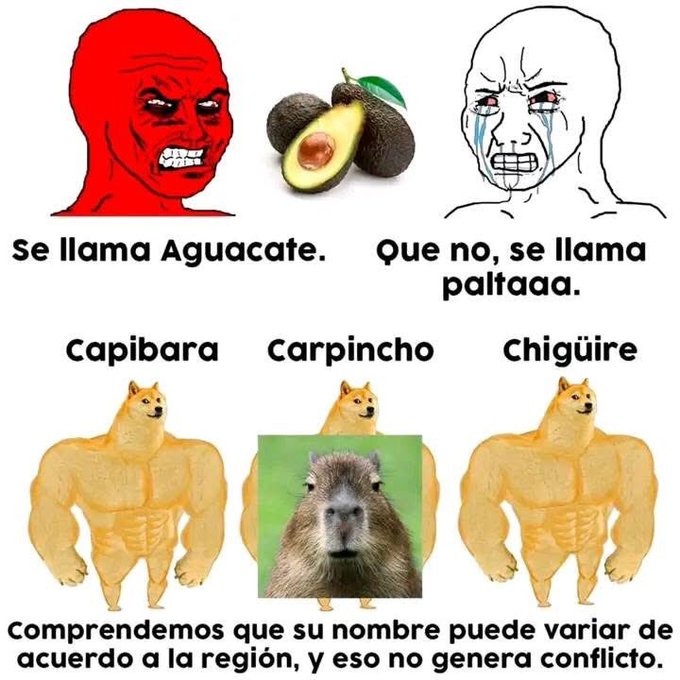 aguante la capibara - meme